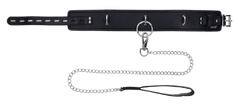 Edge Collar & Leash