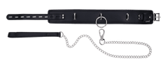 Edge Collar & Leash