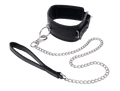 Edge Collar & Leash